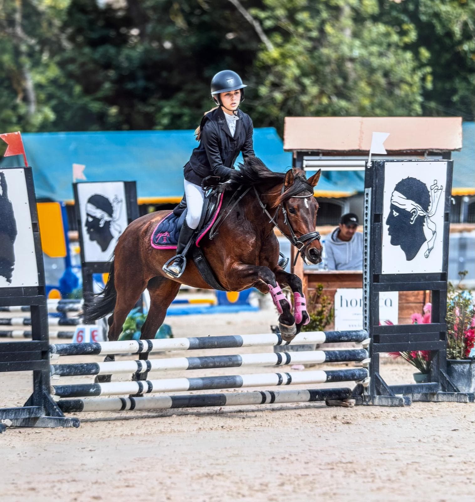 Concours : CSO, Dressage et Equifun